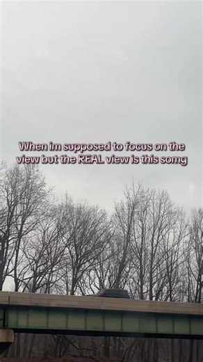 Jerrys voice is angelic#aliceinchains #grunge #sap | alice in chains