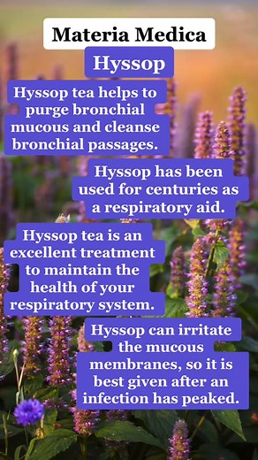 Hyssop Benefits: Unlocking Nature's Healing Power