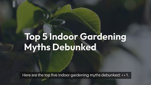 Top 5 Indoor Gardening Myths Debunked