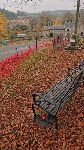 71K views · 3.4K reactions | Lest We Forget ♥️ The beautiful knitted poppy display, in the lovely village of Lealholm, North York Moors. Remembrance | Poppies | North Yorkshire | Adventures In Yorkshire | Facebook