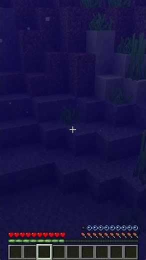 Schwimmen in Minecraft Survival