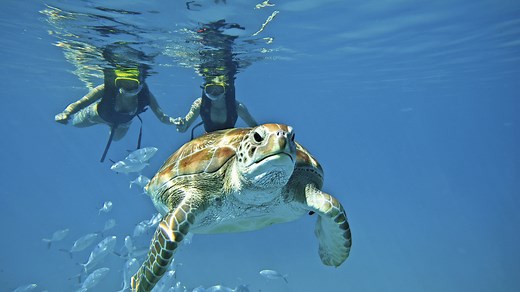 Snorkeling Corfu: The 3 best snorkel spots - Snorkeling Abroad