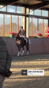 We’ve had a fabulous day at Kilbees today for the British Dressage judges module 4 training day, taken by Peter Storr and Spencer Wilton. Thank you to Sarah and her team at Kilbees for having us and their generosity. Today it was the turn of the advanced horses. Princess 👑 Bella (Headmore Bella Ruby) had it quite easy as she was in the paces and way of going section so had a lovely time trotting and cantering around! She’s such a hot mare with so much energy it was actually really nice for her 