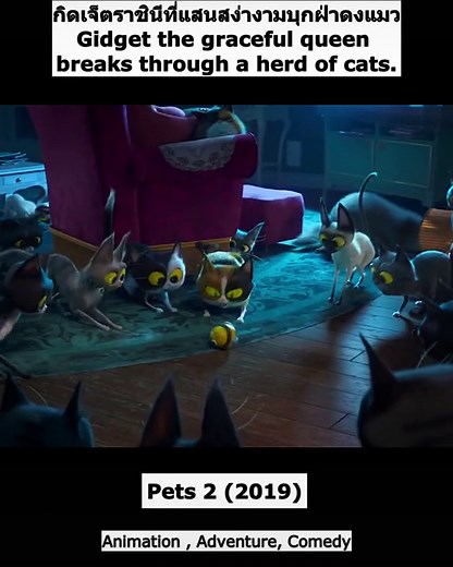 Meet Gidget, the Secret Life of Pets 2 Star!