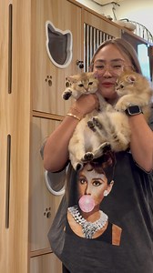 276K views · 11K reactions | Sino ang inuwi ni Mommy Shang? French Fries o Eggnog? 凉 (Reaction ng mga pango sa bagong kapatid) | Shang Pooches | Facebook