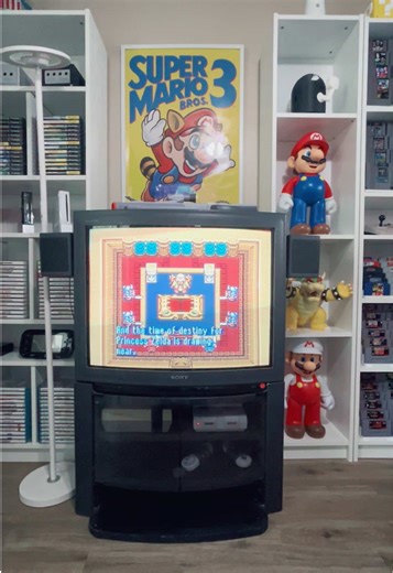 Celebrating 80's and 90's Retro Gaming Collections