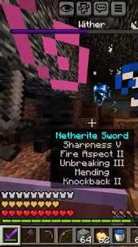 Killed the wither with full stack netherite armour #minecraft #lucky