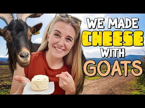 How is goat's CHEESE made? | Maddie Moate
