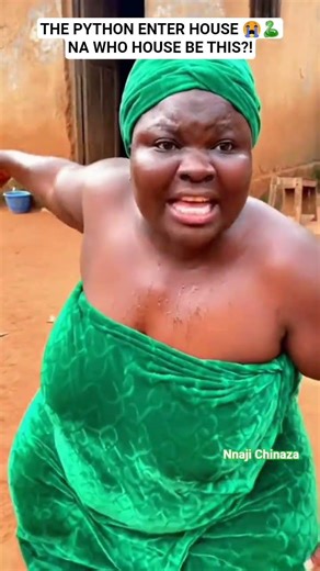 THE PYTHON ENTER HOUSE 😭🐍NA WHO HOUSE BE THIS? #funny #deafhumor #bonkers #funnycaptions #funnyideas