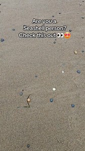 Strolling the beach and spotted this lil limpet hat. Seashells were my first gateway into ocean nerd life and I still can’t help myself… I see one and the child scientist in me wakes up. Limpets are marine snails with a single cone shell and a death-grip foot that lets them cling to rocks through wild surf. Total tiny bada$$es. And cause sharing is caring — I’m leaving it right here for you. #oregoncoast #lincolncity #beachcombing #pnwonderland #coastlife #seashell #nature | Rock Your World: Roc