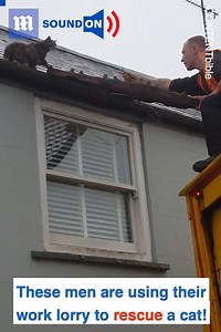 84K views · 3.7K reactions | Started the day as delivery men and finished it as heroes!  隸‍♂️  via CONTENTbible | Daily Mail Video | Facebook