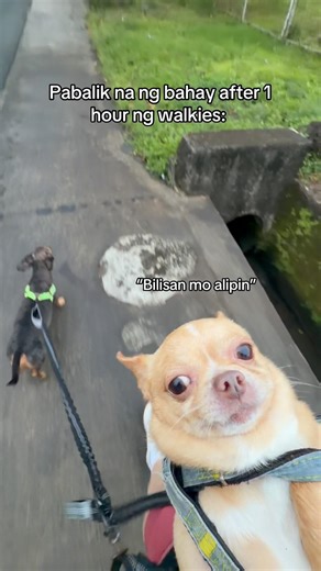 Makuha ka sa tingin mama