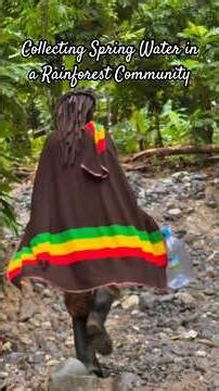 Living Off the Land in a Rainforest Community | Collecting Spring Water #Jamaica #SlowLiving #Nature