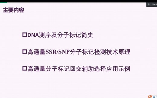 ssr及snp分子标记高通量检测理论与方法