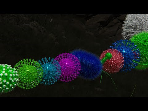 Virus Size Comparison 2023 8K 3D 60FPS