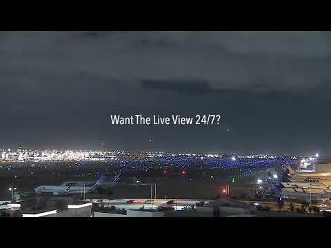 Miami International Airport (MIA) Cam | Relaxing Plane Spotting at MIA | 4K Airport Views