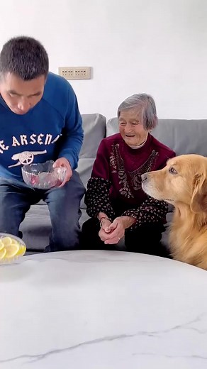 91K views · 2.2K reactions | The male protagonist deliberately gave his grandmother a lemon, and A Mao actually knocked the lemon away藍藍 | ABBA Remember | Facebook