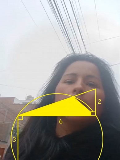 Áreas sombreadas en la circunferencia - geometría desde cero