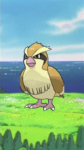 Analyzing Pidgey #pokemon #pidgey #pidgeotto #pidgeot #creaturedesign #gen1