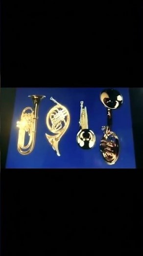 Sesame Street Trumpet French Horn Tuba and Saxophone