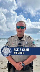 202K views · 1.1K reactions | The Texas flounder fishery closes Nov. 1 – Dec. 14, 2024 for the spawning migration. This allows adults who are about to spawn (reproduce) to travel into the Gulf without risk of harvest, allowing more fish to spawn, which in turn leads to a larger flounder population. #AskAGameWarden #TexasGameWarden #TexasCoast | Texas Game Wardens | Facebook