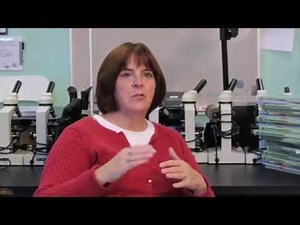 Project-Based Inquiry Science™ - The Big Challenge, Energy Unit