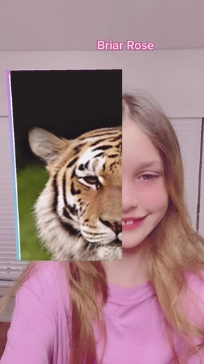 Discover Your Spirit Animal with Family Fun Quiz