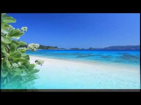 【作業・癒しBGM】波の音とハワイアンミュージック Hawaiian Music Surf Song