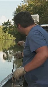 256K views · 4.4K reactions | WIllie and Little Willie Shootoff | Swamp People on History | Facebook