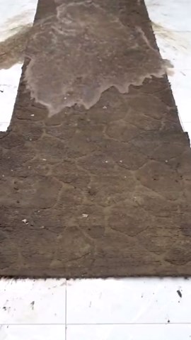 Deep Cleaning Dirty Carpets and Rugs to Perfection