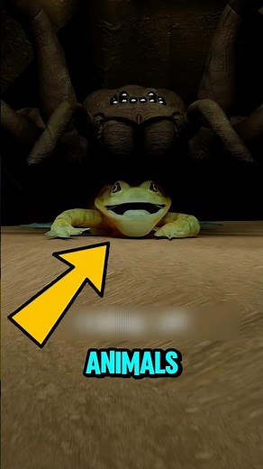 Why Tarantulas Keep Frogs as Bodyguards 🕷️🐸