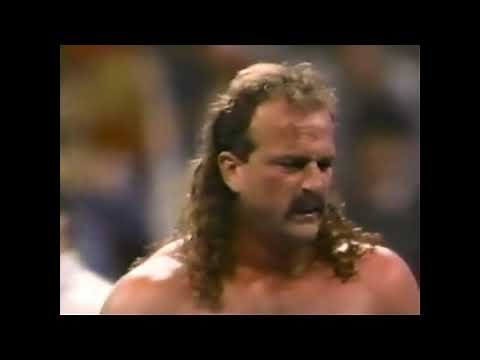Jake Roberts vs Jobber Tom Stone WWF Superstars 1990