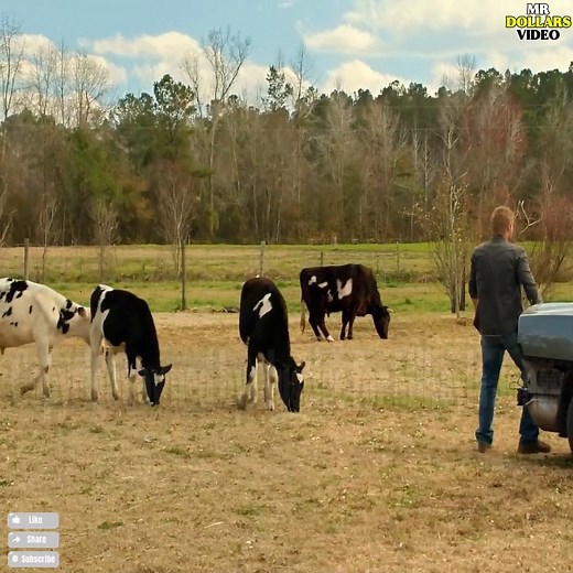 4.2K views · 53 reactions | ⚠️ [Warning] Fictional movie scene – May contain violent or sensitive content. The craziest movie scenes ever — Watch and feel the drama. #movieclip #AvatarMovie #JamesCameron #CinemaMagic #SciFiAdventure #FilmMagic #BeyondTheHorizon | Film Entertainment | Facebook