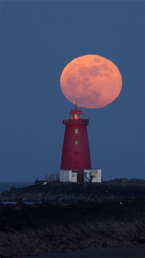 Last nights worm moon aligned with Poolbeg lighthouse. What a spectacular night 🌕 | Riccardo Rea Photography