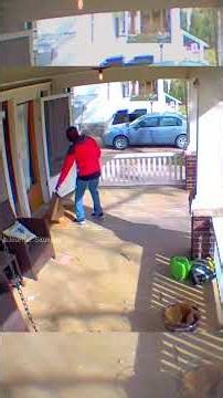 The dogs chasing delivery man away he runs for help #aggressive #funny #moments #watchtillend