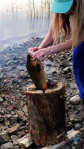 Catch And Cook It 🔥 Riverbank Fresh Fish Cooking 🌳