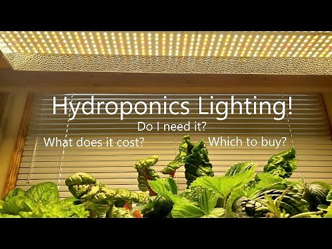 Choosing Lighting for Indoor Hydroponics