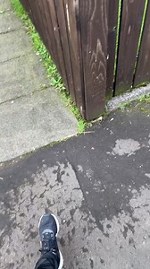 Dank Dragon Exposure was live on Nov 16 2024 at 12:09 | Eternal Awareness & Exposure