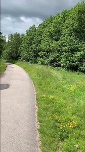 The Most Beautiful Nature Walk! Relaxing Outdoor Adventure.