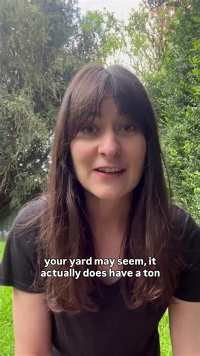 Where to start with a blank canvas yard? Where to start (Landscape Design Tips) 🪴 #landscapedesign