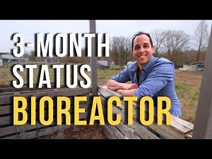 Johnson Su Bioreactor Compost 3-Month Update • Ep. 53