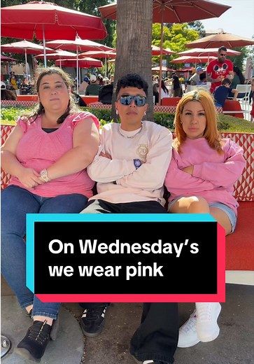 On Wednesdays We Wear Pink at Disneyland
