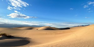 Maple Walnut Ice Cream