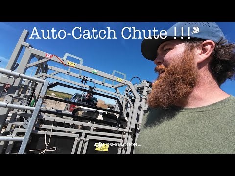We Upgraded Our Cattle Chute!