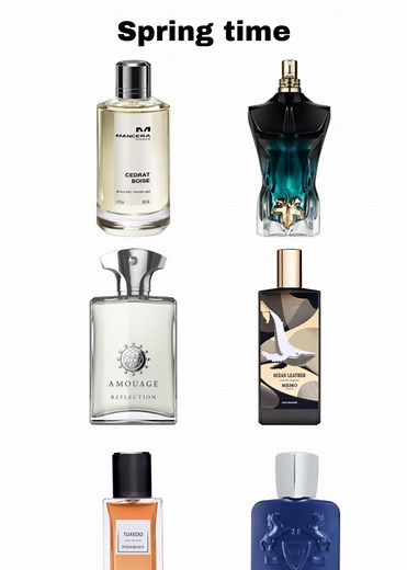 Best spring fragrances 🌳🍃 Follow for more💪 #fypシ゚ #fragrances #perfume #perfumes #spring #scents #fragrancetiktok #fragrancereview #jeremyfragrance #cedratboise #jeanpaulgaultier #lebeauleparfum #amouage #reflection #mancera #tuxedo #yvessaintlaurent #memo #oceanleather #percival #parfumsdemarly #pdm #keşfetteyizzz #fragrantica #