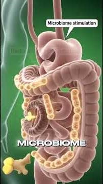 Your Gut Will Never Be the Same After Seeing This #ginger #digestion