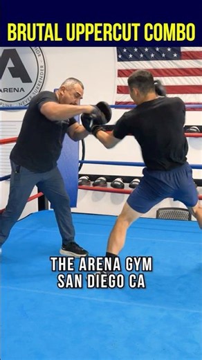 3-PUNCH Combo DROPS Fighters! #boxing #boxingtraining #boxingtechnique #boxeo