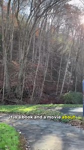 155K views · 3.3K reactions | Any McDowell County, WV natives here? Caitlin explores the iconic southern #WV county in her latest travel series! She visits Welch, a Veterans Day parade, the courthouse where Sid Hatfield was infamously murderd, and Coalwood, the home of Rocket Boy’s Homer Hickam! Ton’s of great highlights in here. This is her 31st county! Follow along for more. | Mountaineer Media | Facebook