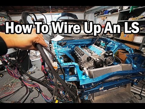 How To Wire Up An LS Engine - LS Harness Explained - FD RX7 Race Car Build Video Series 31
