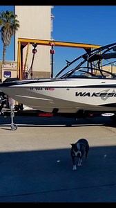 A lot goes into restoring these old boats and none of it would be possible without a talented and hard working crew. #upholstery #wakesurf #malibuboats #wakesurfing #tigeboats #mastercraftboats #centurionboats #wakeboarding | Gabe's Custom Marine Upholstery